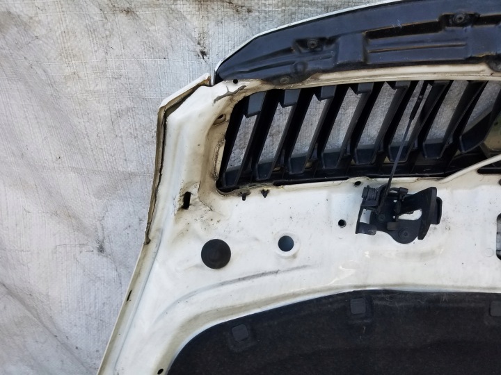 фото №11, Капот крышка двигателя skoda octavia ii рестайлинг код lf9e