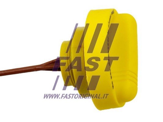 фото №13, Fast щуп масла kangoo 98- master 98-