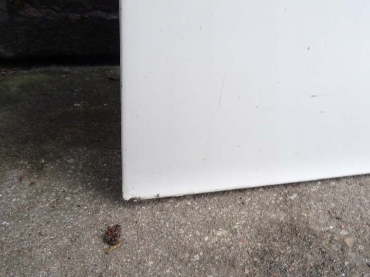 фото №8, Двері перед праві seat leon i 1 toledo ii 2 lb9a