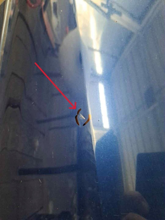 фото №7, Двері лівий зад задні toyota rav-4 ii 00-06 8m6