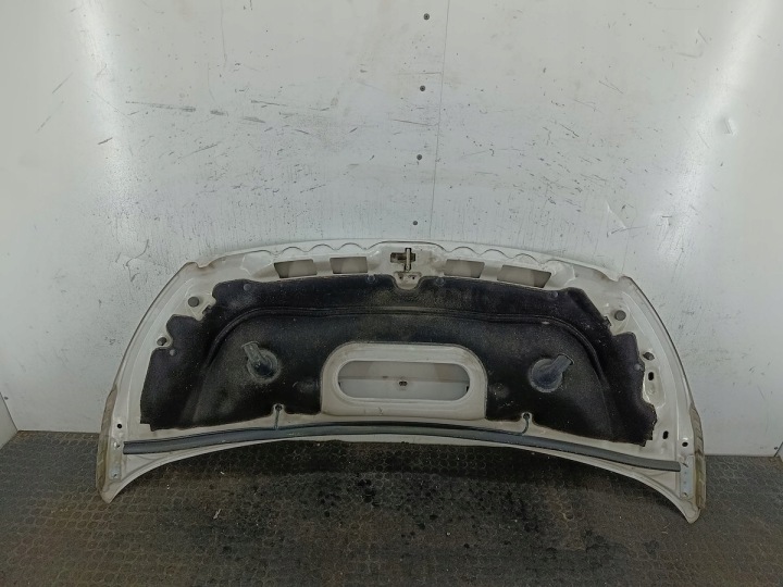 фото №7, Капот fiat scudo ii 249