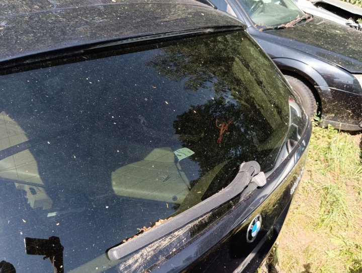 фото №5, Bmw 5 e60 e61 2006 стекло крышки задней / багажника