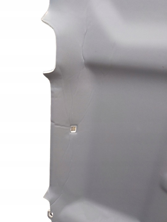 фото №4, Потолок ford f-150 длинная кабина