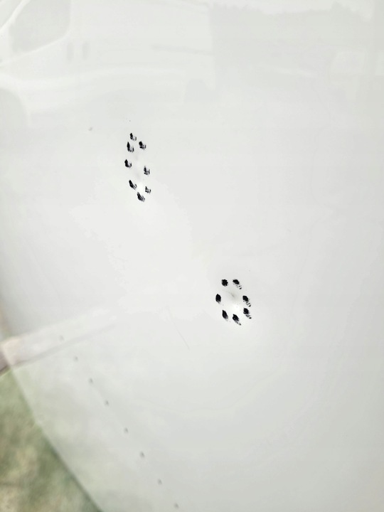 фото №4, Капот mercedes eqc 2019-23