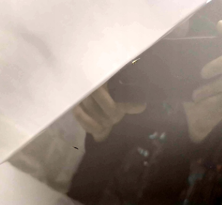 фото №9, Новий org бампер зад vw golf viii la7c 4x pdc