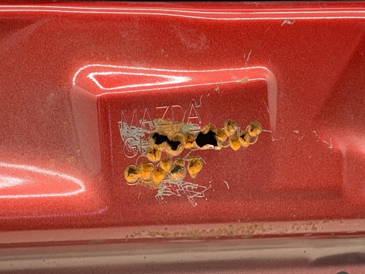 фото №9, Дверь левый перед mazda 6 gj sedan/limuzyna красный