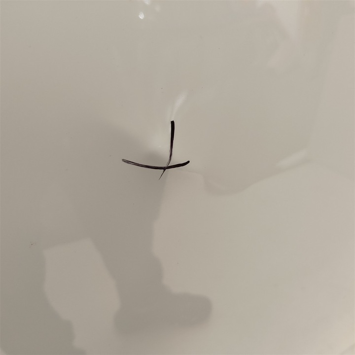 фото №11, Капот volvo xc60 ii po 2017