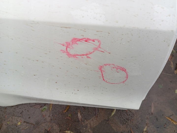 фото №3, Дверь зад задние правые tesla модель iii 3 17-22rok