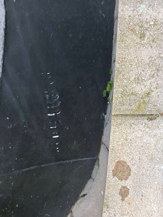 фото №11, Hyundai ioniq 5 бампер переднє чорний mzh комплектний 6 датчиків камера