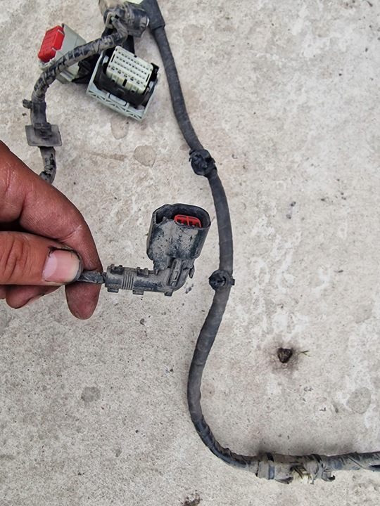 фото №7, Жгут зад ford mustang mach-e lj8t-14b599-eac