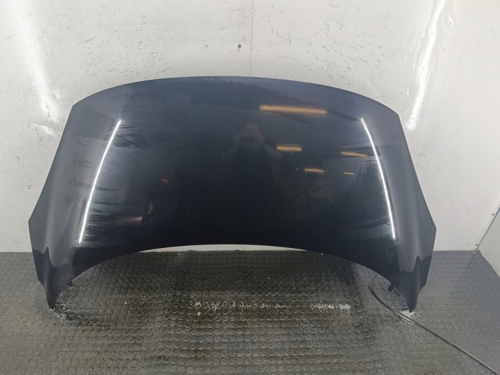 фото №1, Капот renault scenic iii tegne