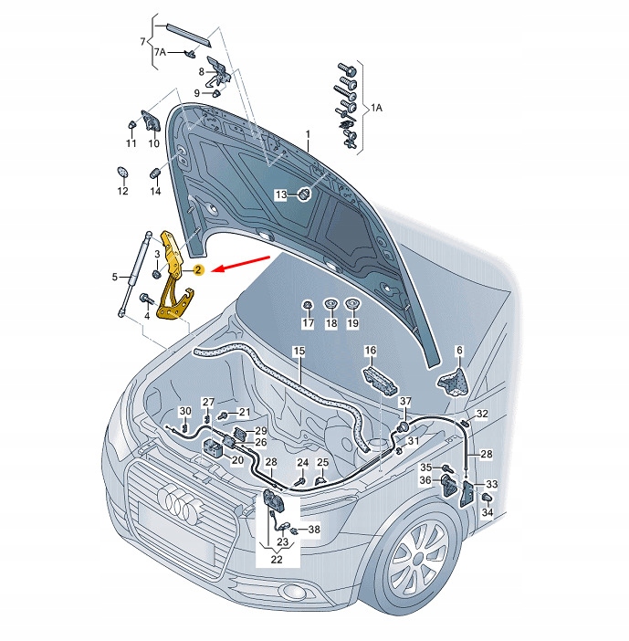 фото №7, New audi a1 8x передний правый капот lid hinge 8x0823302a оригинал