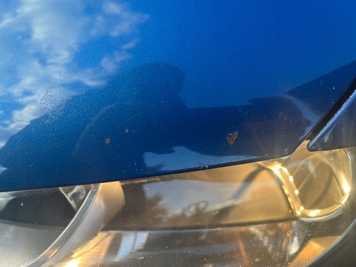 фото №11, Audi a3 8p quattro s-line рестайлінг капот кришка двигуна [lx5v]