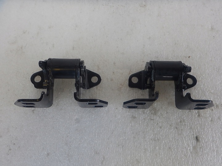 фото №1, Tesla модель s петля двері 1120038