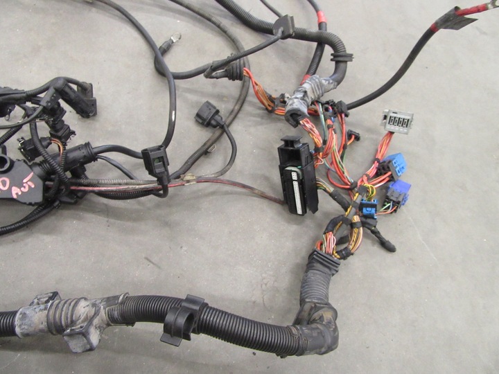 фото №11, Жгут двигателя установка bmw e83 x3 3.0 m57n 204km европа 2005r. euro3