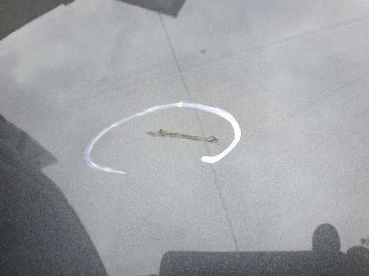 фото №5, Audi a4 b9 8w w8 9b рестайлинг капот передняя крышка