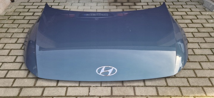 фото №7, Hyundai ioniq 5 капот 3 кольори