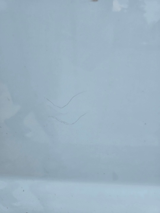 фото №8, Дверь правые перед передние opel vivaro a 01-14 год комплект. белый рестайлинг