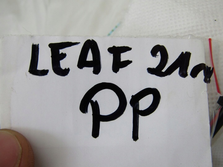 фото №9, Leaf ii 21r подушка подушка безпеки права w сидіння пасажира правий 0589-p1-000717