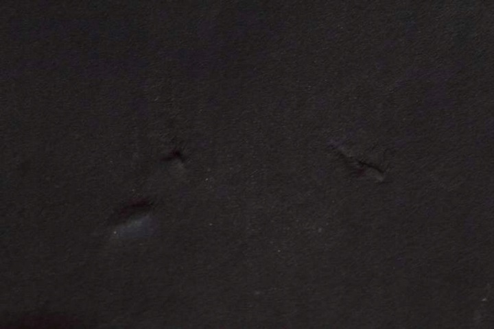 фото №8, Шумоізоляція підкладка килимок капота jx7b-a16746-a ford focus mk4 1.0 ecoboost