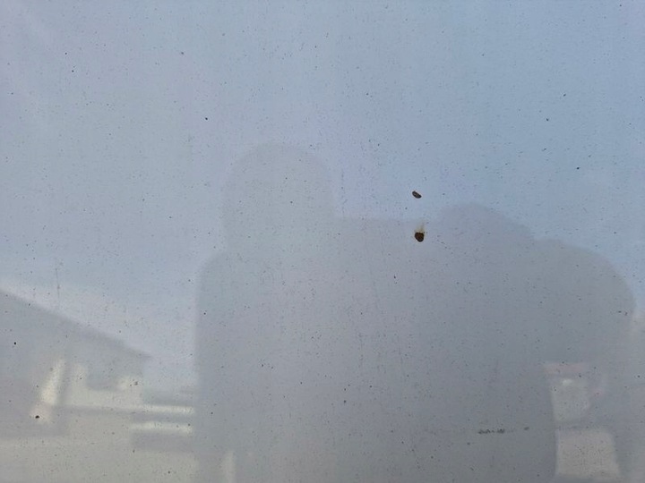 фото №12, Mini r56 капот крышка двигателя перед передняя