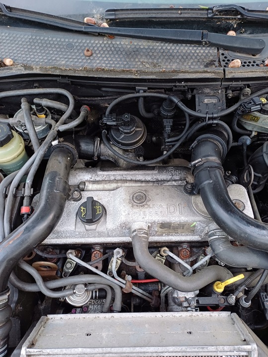 фото №10, Кришка задня скло фото ford focus mk1 1.8 td 2001r дизель хетчбек код 08