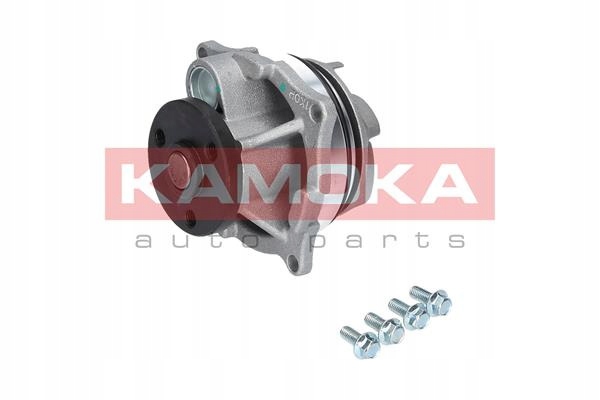 фото №1, Насос води kamoka t0129