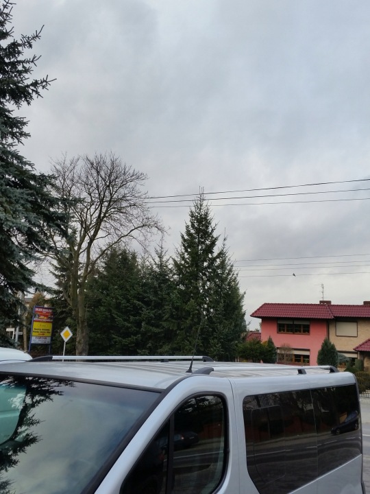 фото №8, Renault trafic 2014 + short рейлінги багажник даховий