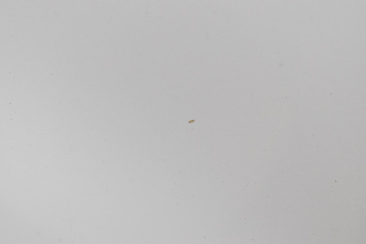 фото №7, Дверь правые зад задние w19a mitsubishi asx 1 i 5d suv 10-12