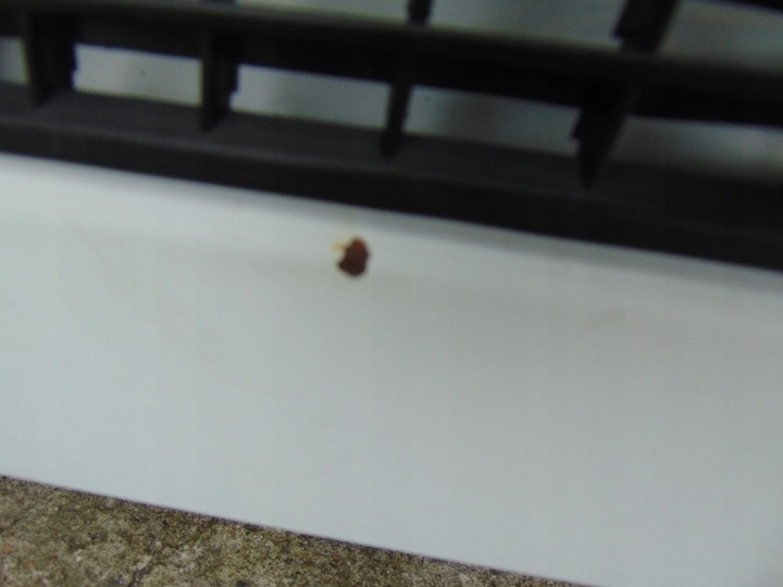 фото №11, Капот крышка двигателя jumpy expert scudo 07- запчасть