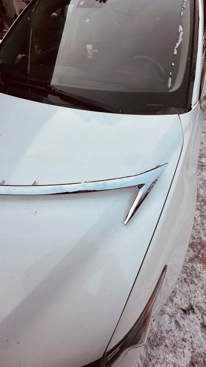 фото №6, Lexus ct 200h молдинг решітка 53121-76030