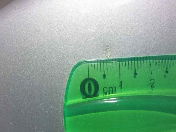 фото №11, Bmw x1 f48 капот крышка передняя a83 glacier серебро 7463772 серебряная