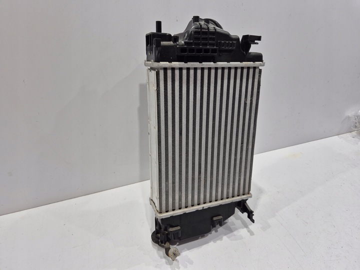 фото №6, Интеркулер kadjar megane iv talisman scenic 4 espace v nissan qashqai ii 2