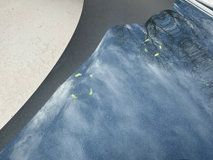 фото №13, Citroen c4 b7 2 ii 12r- крило лівий перед лівий переднє j13