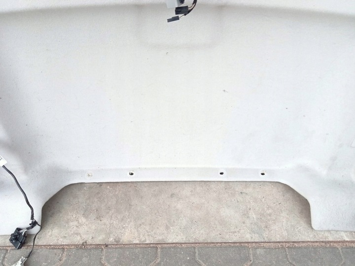 фото №7, Ford transit connect mk2 2014- стеля