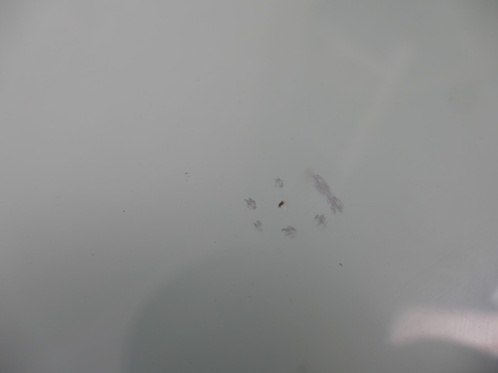 фото №12, Jeep cherokee kj рестайлінг скло лобове передня перед