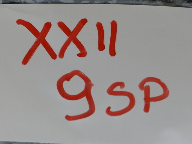 фото №10, Citroen ds3 crossback тунель середній підлокітник бардачок 9825728080