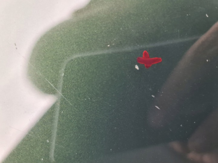 фото №6, Bmw g22 g23 g26 капот крышка двигателя sanremo зеленый металлик