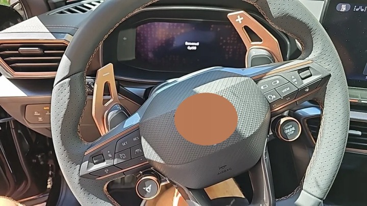 фото №10, Підкермові важелі пелюстки передача cupra leon formentor born terramar ateca tavascan dsg