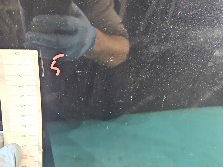 фото №11, Двері зад ліві toyota corolla e16 e18 13- sedan 4d графітовий 1h2