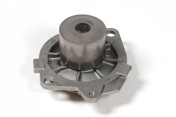 фото №15, Насос води hepu 71776001 60814609 60815559 4643224