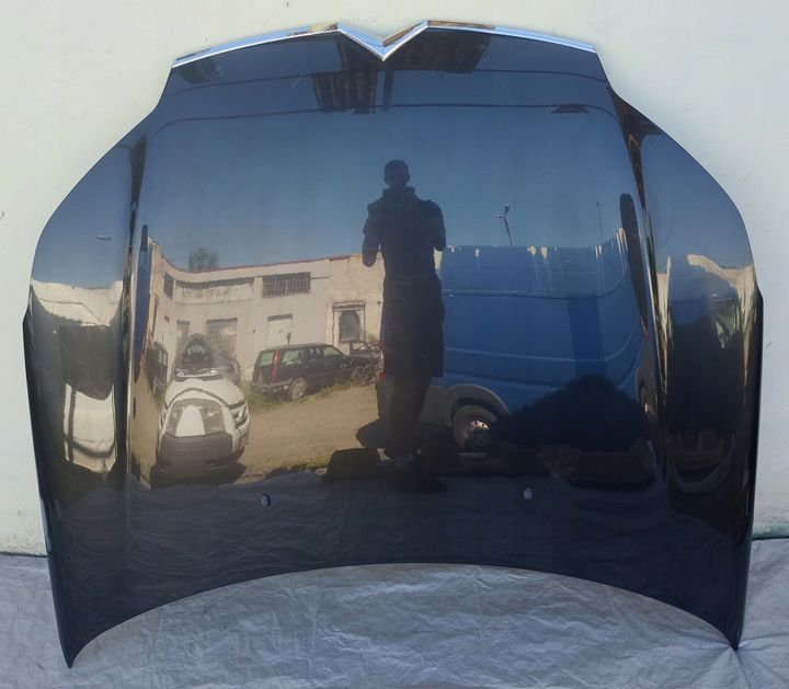 фото №1, Капот citroen c5 iii x7 08-18 стан bdb eypc