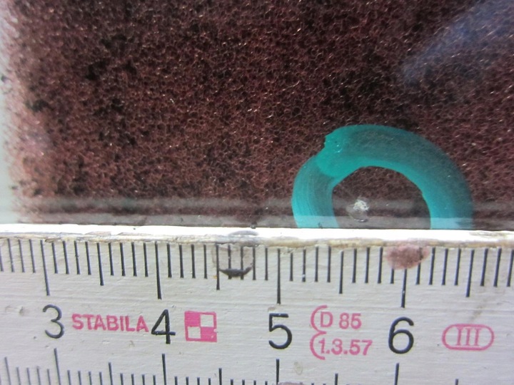 фото №10, Bmw x3 g01 скло передня перед лобове 9466384 оригінал 51319466384