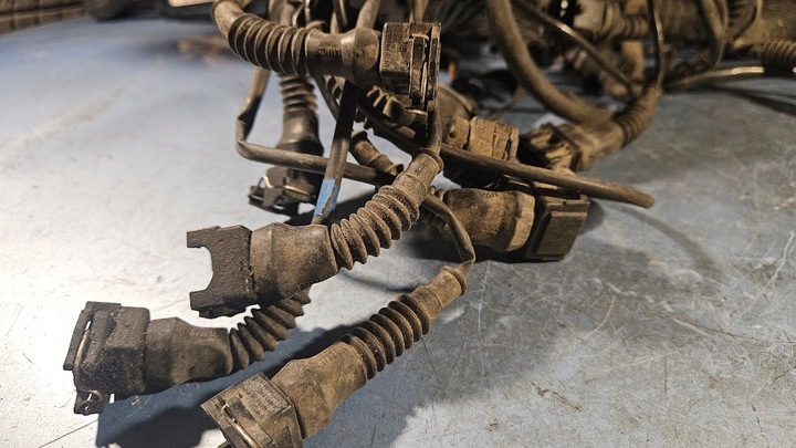 фото №8, Электрика установка жгут двигателя bmw e36 2.0b m50 1xvanos