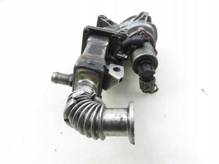 фото №8, Радіатор вихлопних газів renault scenic ii 1.9 dci - 8200316949 72843005 70007503
