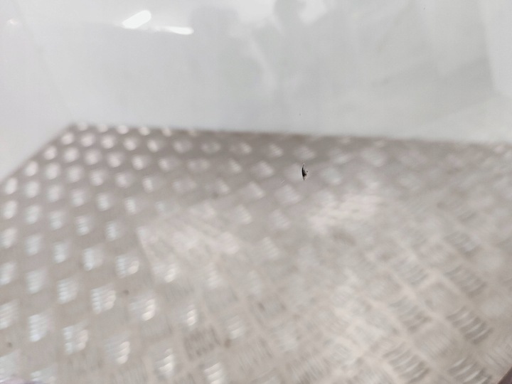 фото №7, Peugeot 4008 2013 скло передня / лобове