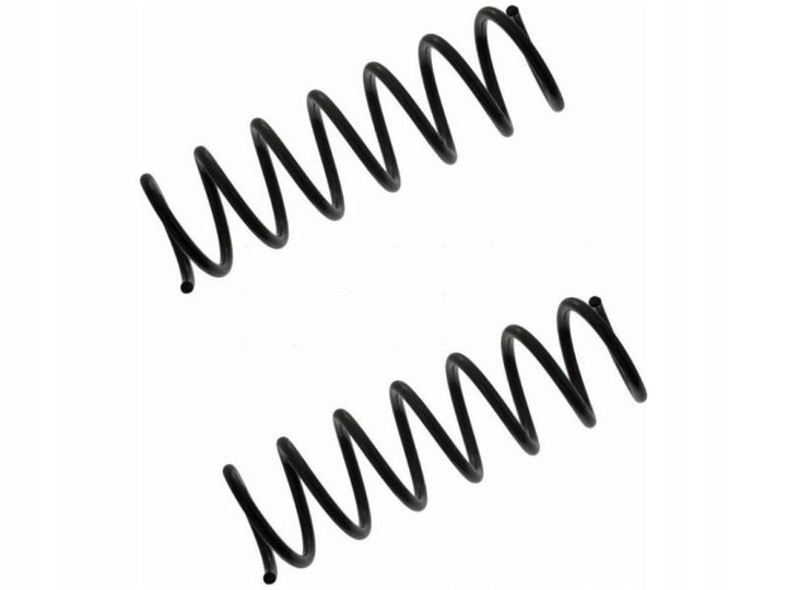 фото №1, Пружини зад febi bilstein 39725