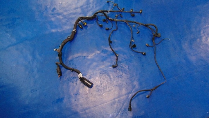 фото №1, Джгут установка mercedes a клас w169 2.0cdi