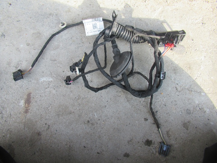 фото №1, Skoda scala жгут дверь левый зад tab019541b