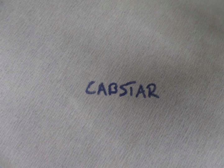 фото №8, Nissan cabstar maxity nt400 06- потолок потолок крыша